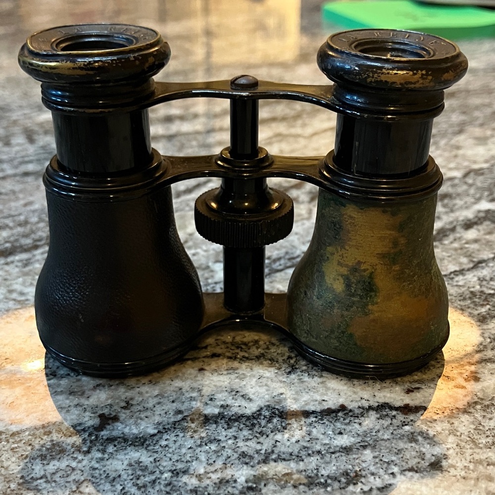 Vintage Black and Gold Binoculars with case